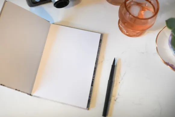 Cazino Mr Vegas Cazinou Suport